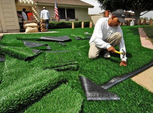 lawn care